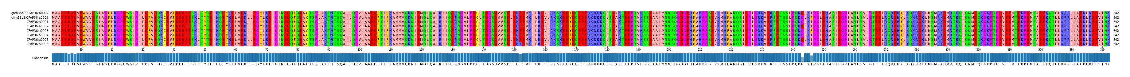 Multiple Alignments (by translate haplotype frequency)