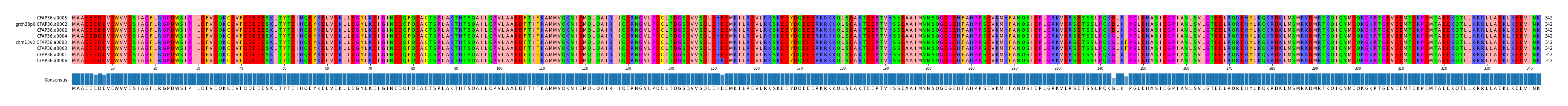 Multiple Alignments (by translate haplotype similarity)