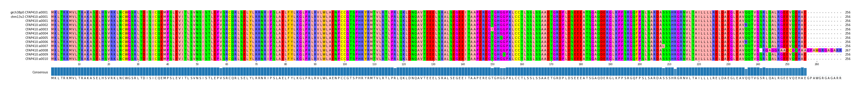 Multiple Alignments (by translate haplotype frequency)