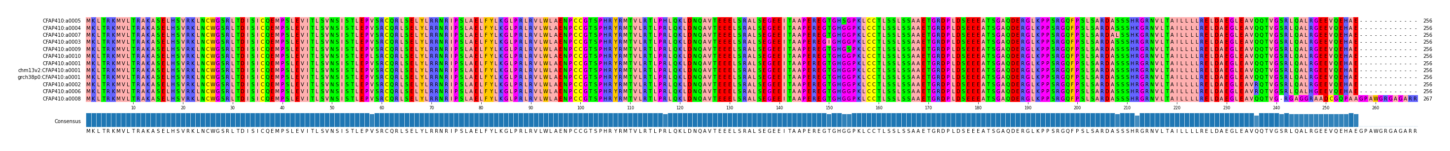 Multiple Alignments (by translate haplotype similarity)