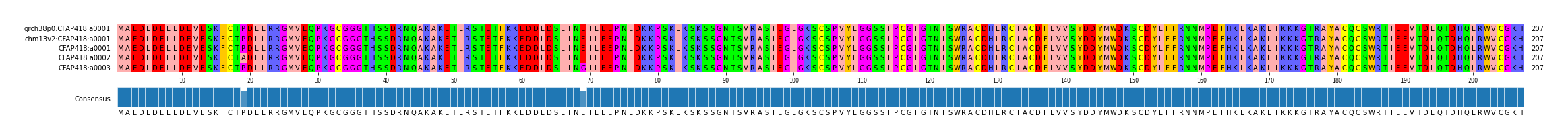 Multiple Alignments (by translate haplotype frequency)