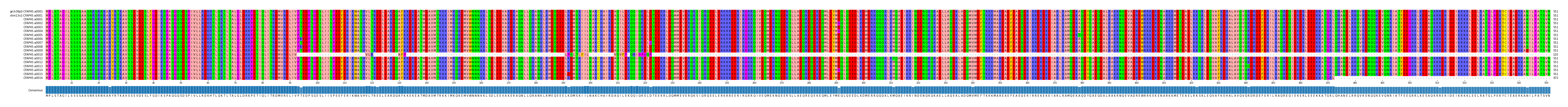 Multiple Alignments (by translate haplotype frequency)