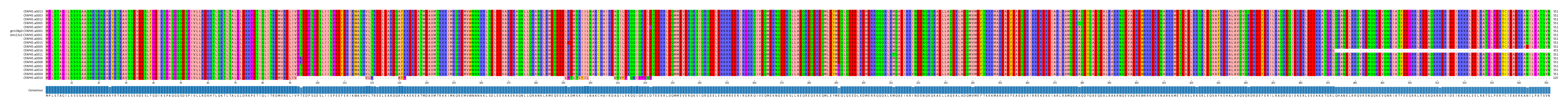 Multiple Alignments (by translate haplotype similarity)