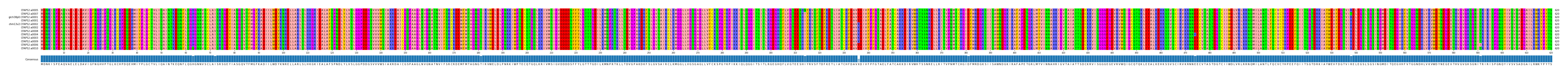 Multiple Alignments (by translate haplotype similarity)