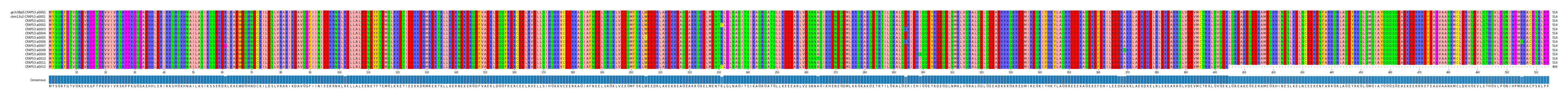 Multiple Alignments (by translate haplotype frequency)