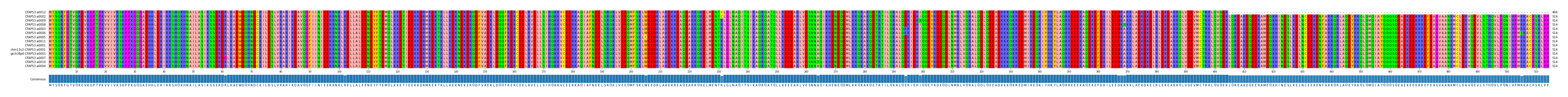 Multiple Alignments (by translate haplotype similarity)