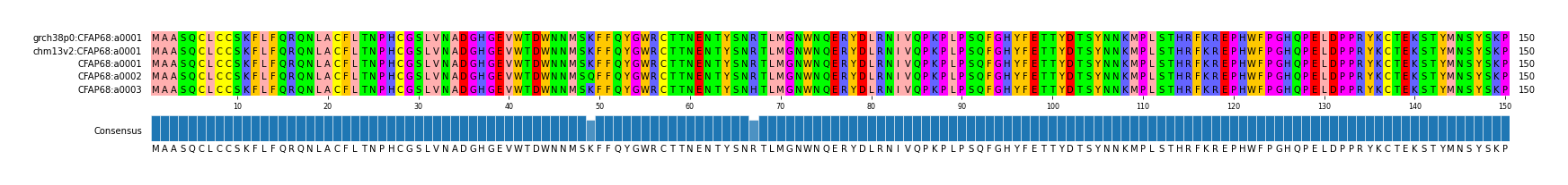 Multiple Alignments (by translate haplotype frequency)