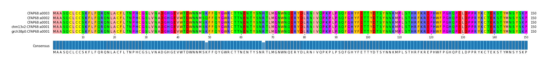 Multiple Alignments (by translate haplotype similarity)