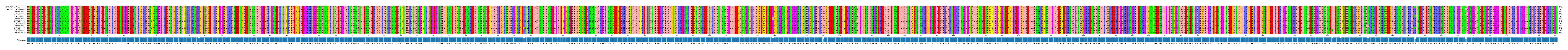 Multiple Alignments (by translate haplotype frequency)