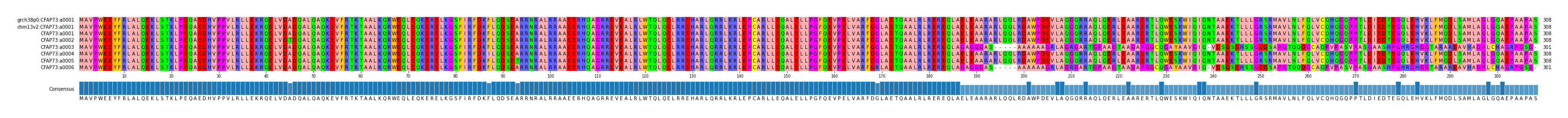 Multiple Alignments (by translate haplotype frequency)