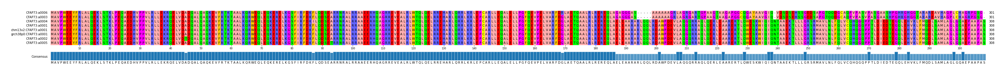 Multiple Alignments (by translate haplotype similarity)