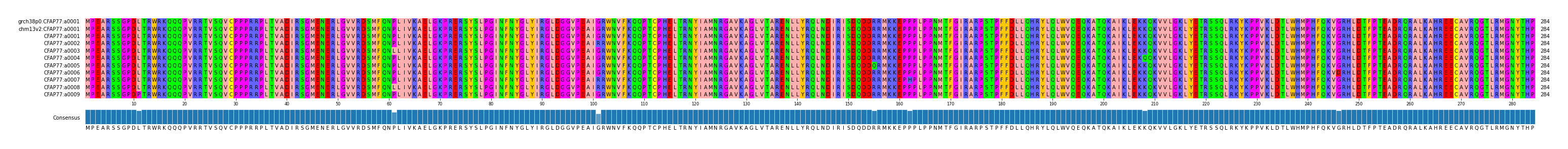 Multiple Alignments (by translate haplotype frequency)