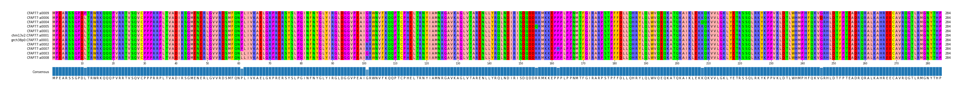 Multiple Alignments (by translate haplotype similarity)