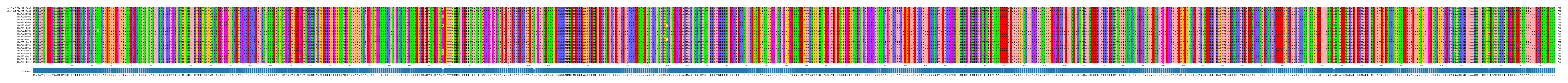 Multiple Alignments (by translate haplotype frequency)