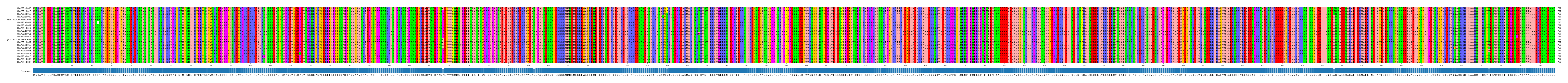 Multiple Alignments (by translate haplotype similarity)