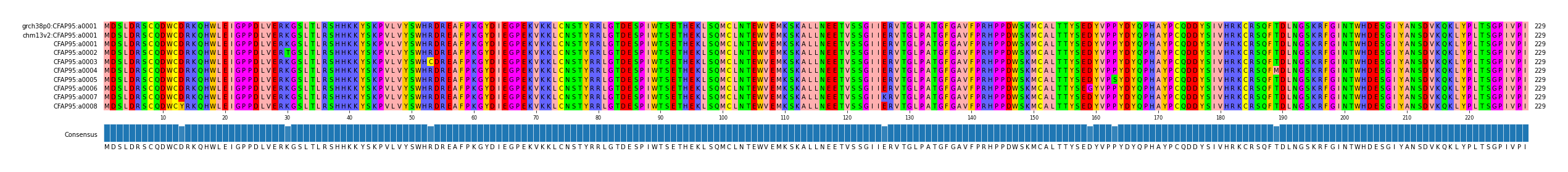 Multiple Alignments (by translate haplotype frequency)
