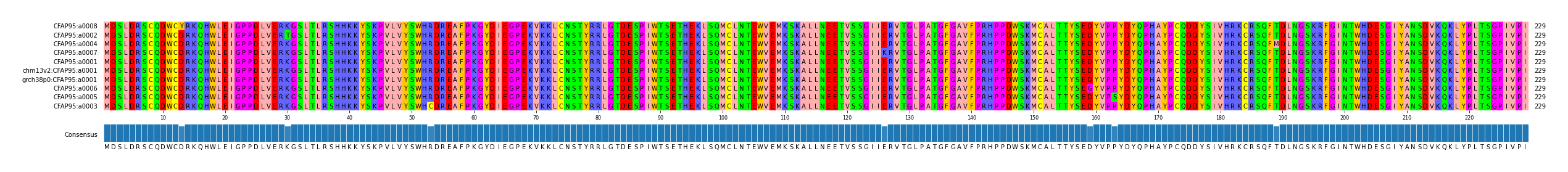 Multiple Alignments (by translate haplotype similarity)