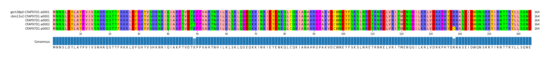 Multiple Alignments (by translate haplotype frequency)