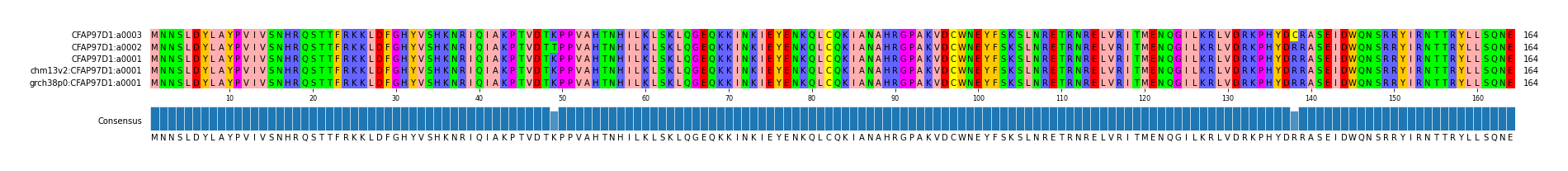 Multiple Alignments (by translate haplotype similarity)