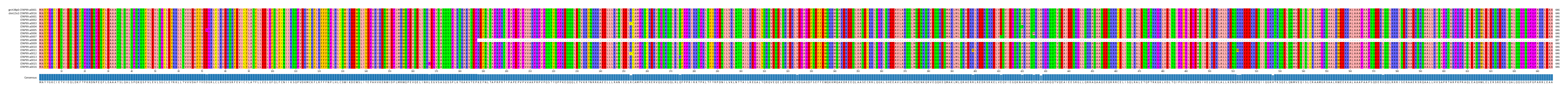 Multiple Alignments (by translate haplotype frequency)