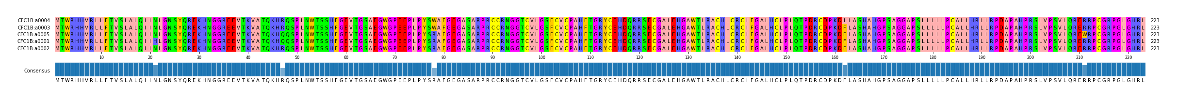 Multiple Alignments (by translate haplotype similarity)