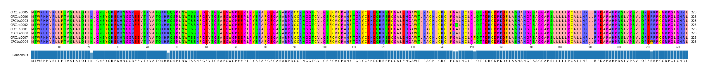 Multiple Alignments (by translate haplotype similarity)