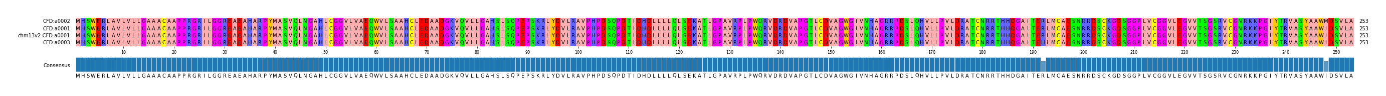 Multiple Alignments (by translate haplotype similarity)