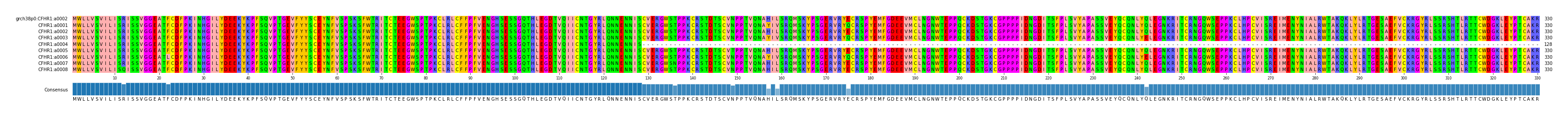 Multiple Alignments (by translate haplotype frequency)