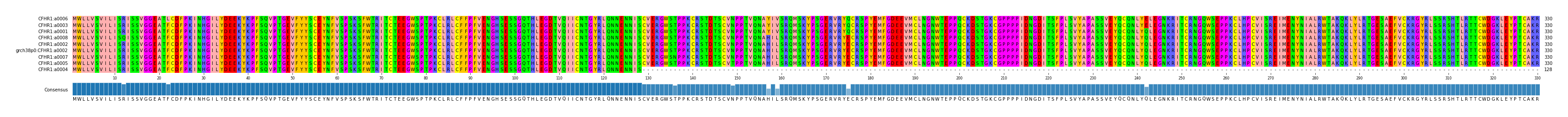 Multiple Alignments (by translate haplotype similarity)