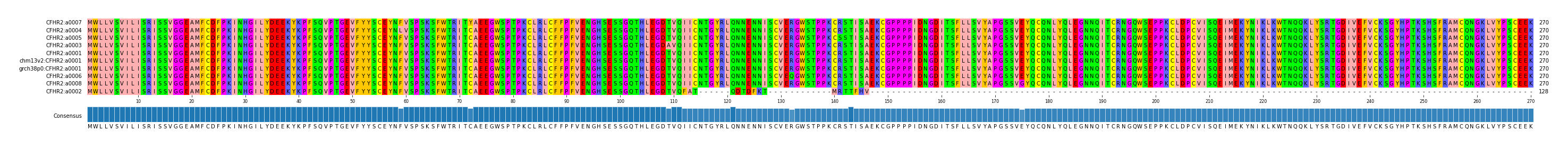 Multiple Alignments (by translate haplotype similarity)