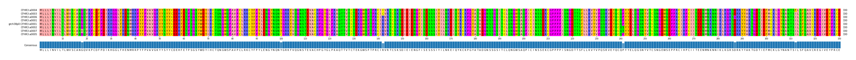 Multiple Alignments (by translate haplotype similarity)