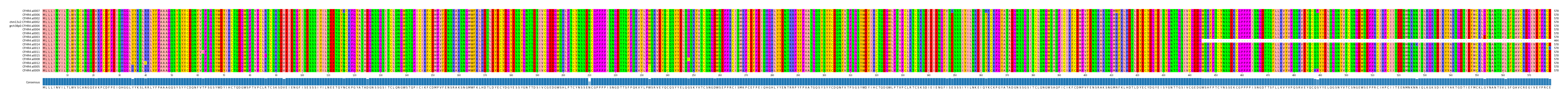 Multiple Alignments (by translate haplotype similarity)