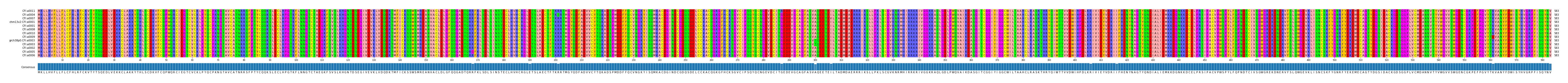 Multiple Alignments (by translate haplotype similarity)