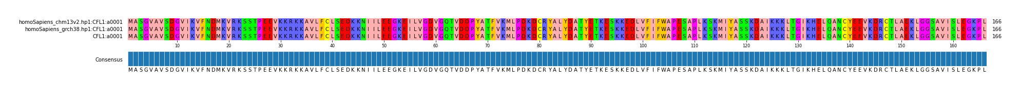 Multiple Alignments (by translate haplotype similarity)