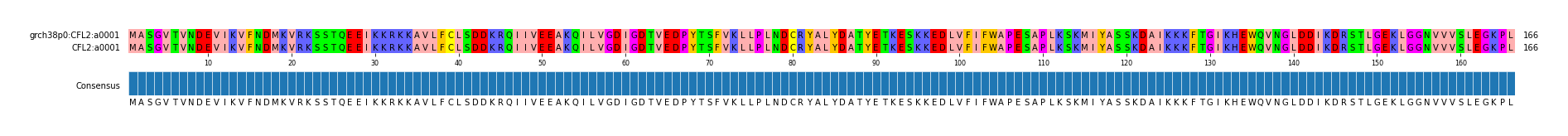 Multiple Alignments (by translate haplotype similarity)