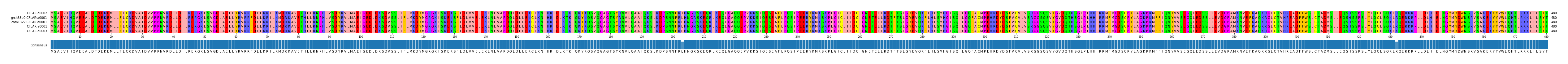Multiple Alignments (by translate haplotype similarity)