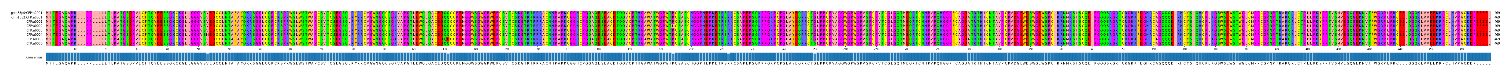 Multiple Alignments (by translate haplotype frequency)