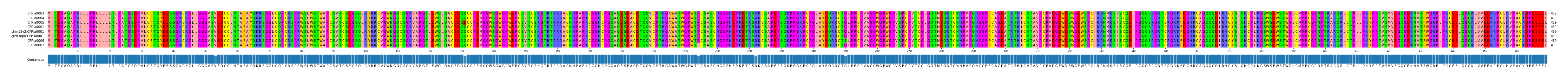 Multiple Alignments (by translate haplotype similarity)