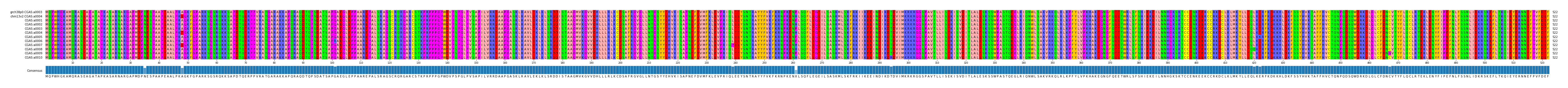 Multiple Alignments (by translate haplotype frequency)