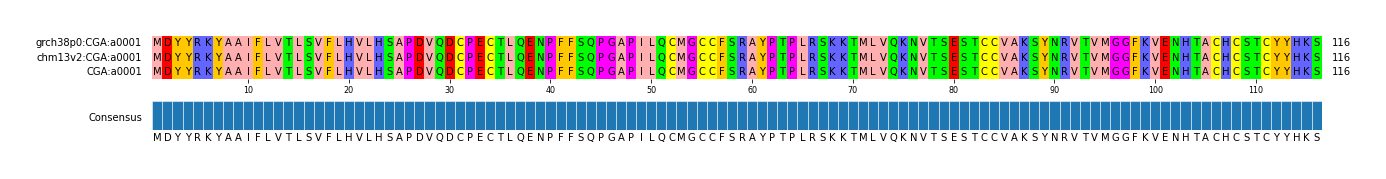 Multiple Alignments (by translate haplotype similarity)