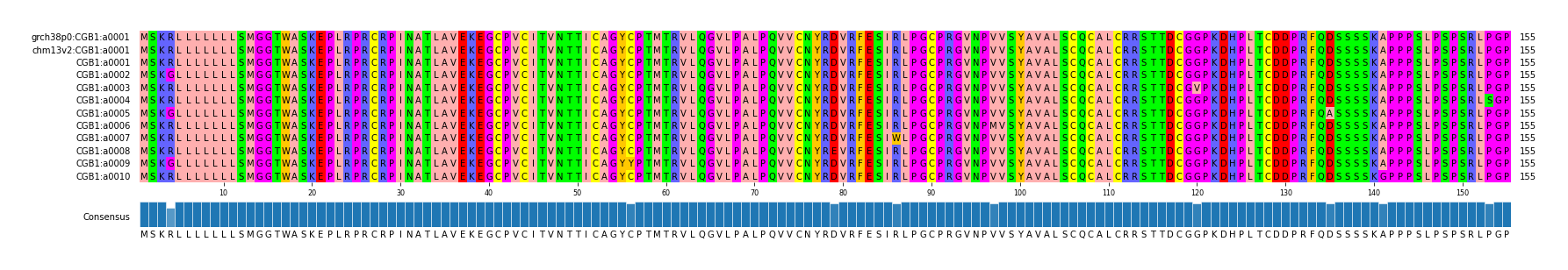 Multiple Alignments (by translate haplotype frequency)