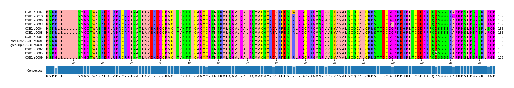Multiple Alignments (by translate haplotype similarity)