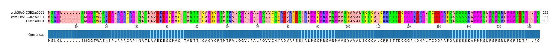 Multiple Alignments (by translate haplotype similarity)