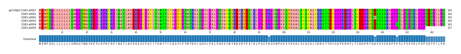 Multiple Alignments (by translate haplotype frequency)