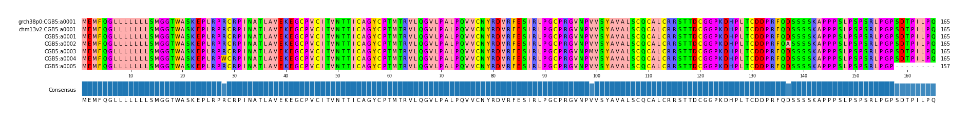 Multiple Alignments (by translate haplotype frequency)