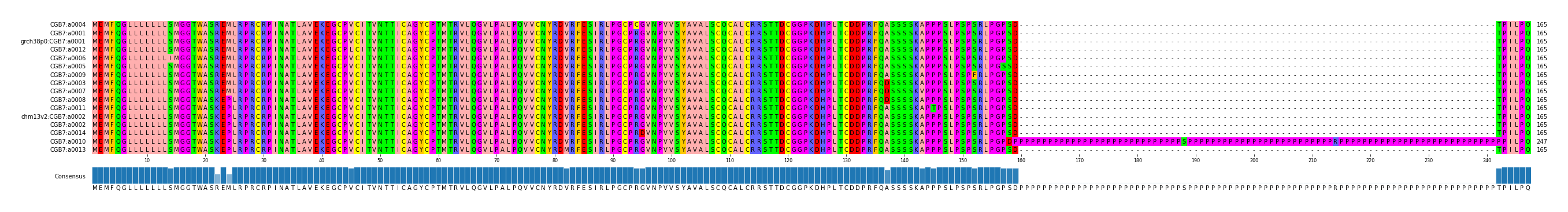 Multiple Alignments (by translate haplotype similarity)