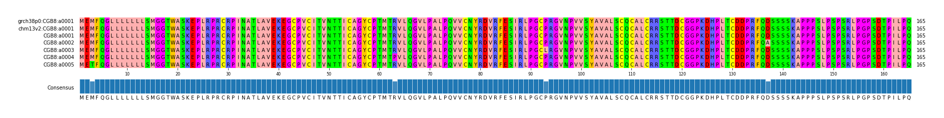 Multiple Alignments (by translate haplotype frequency)