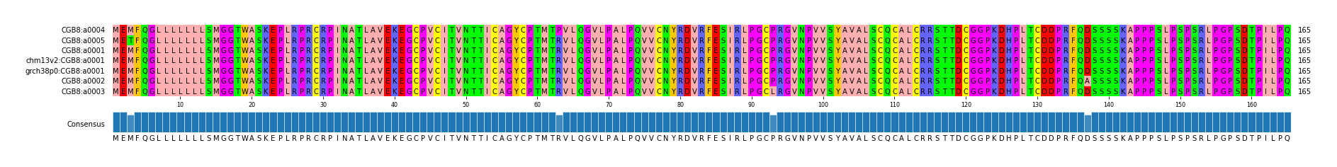 Multiple Alignments (by translate haplotype similarity)