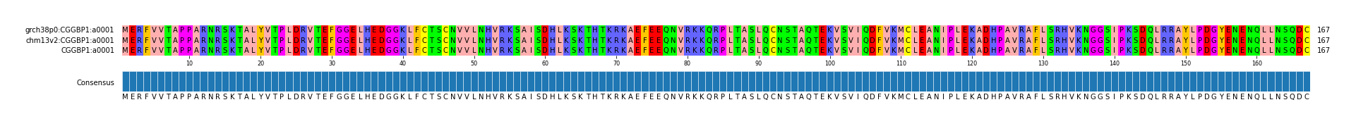Multiple Alignments (by translate haplotype similarity)