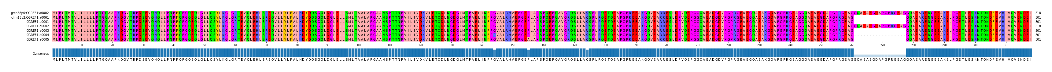 Multiple Alignments (by translate haplotype frequency)